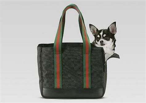 gucci canes|gucci luggage.